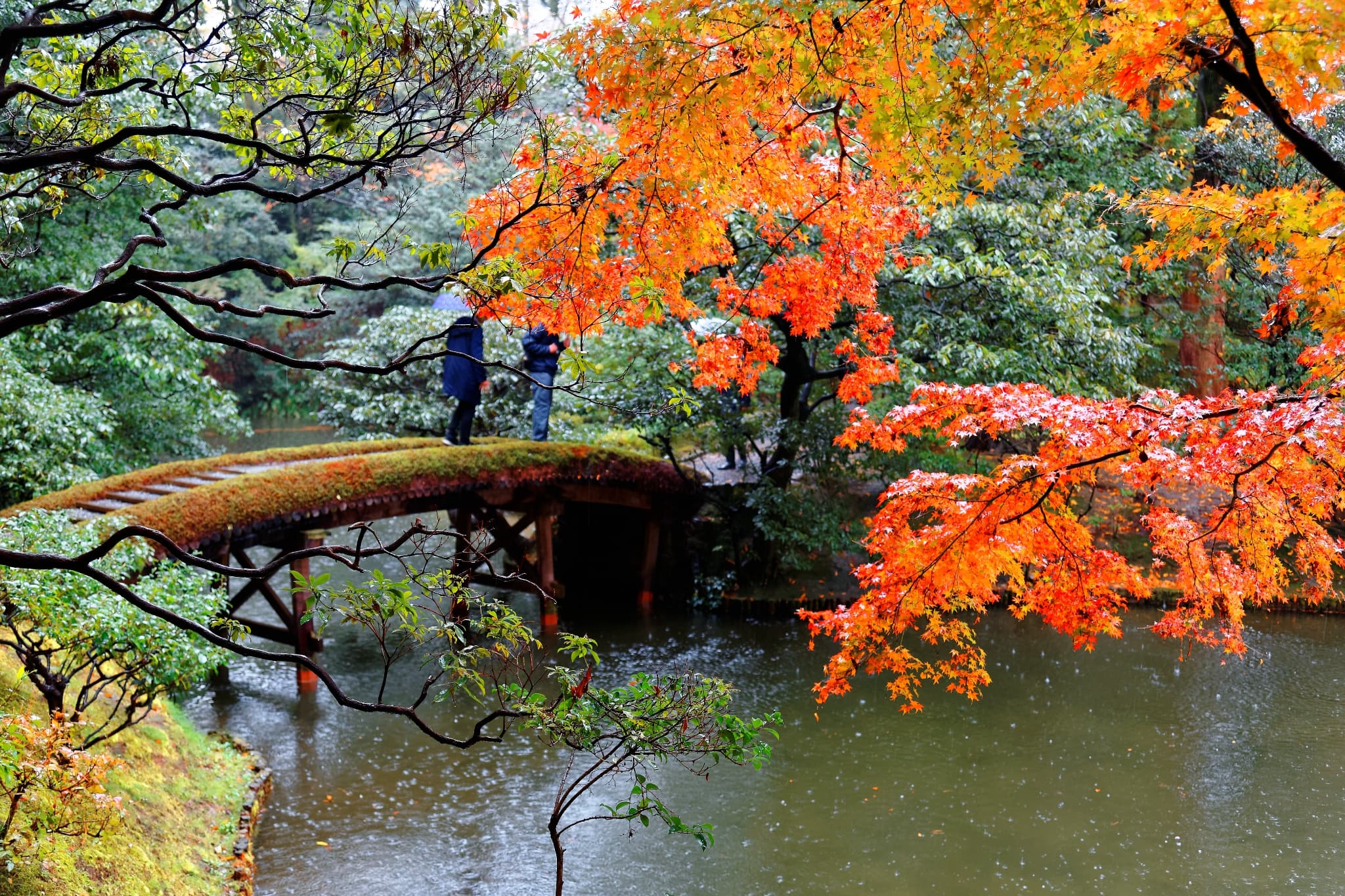 ✿自然探索ツアー