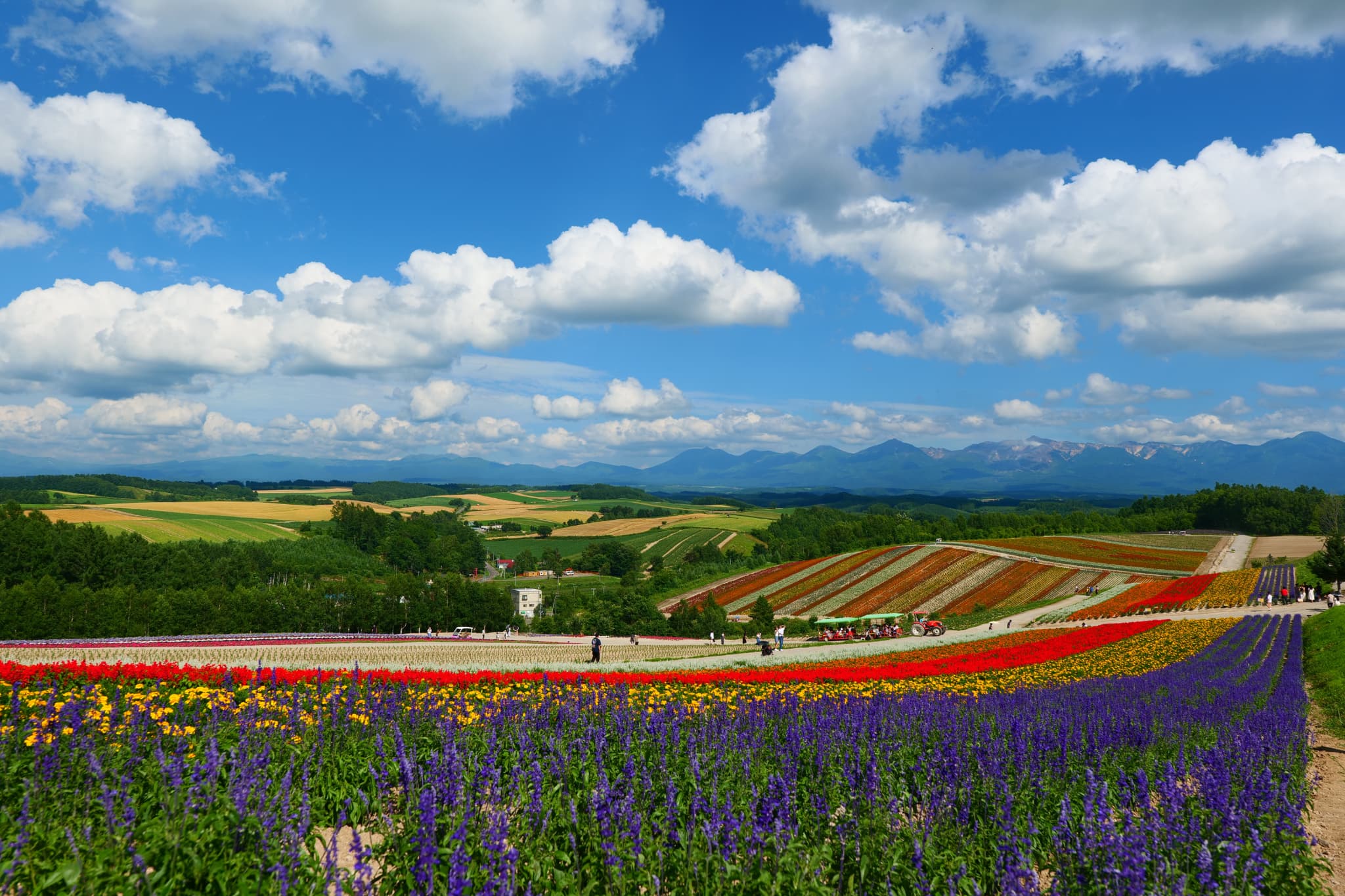 北海道